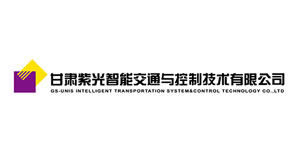 甘肅紫光